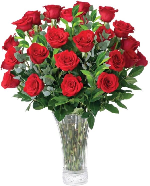 Red Roses Flowers Fresh Bouquet, Fresh Flowers for Delivery, 24 Fresh Cut Stems